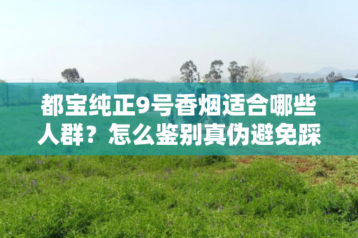 都宝纯正9号香烟适合哪些人群？怎么鉴别真伪避免踩坑？
