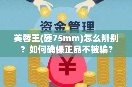 芙蓉王(硬75mm)怎么辨别？如何确保正品不被骗？